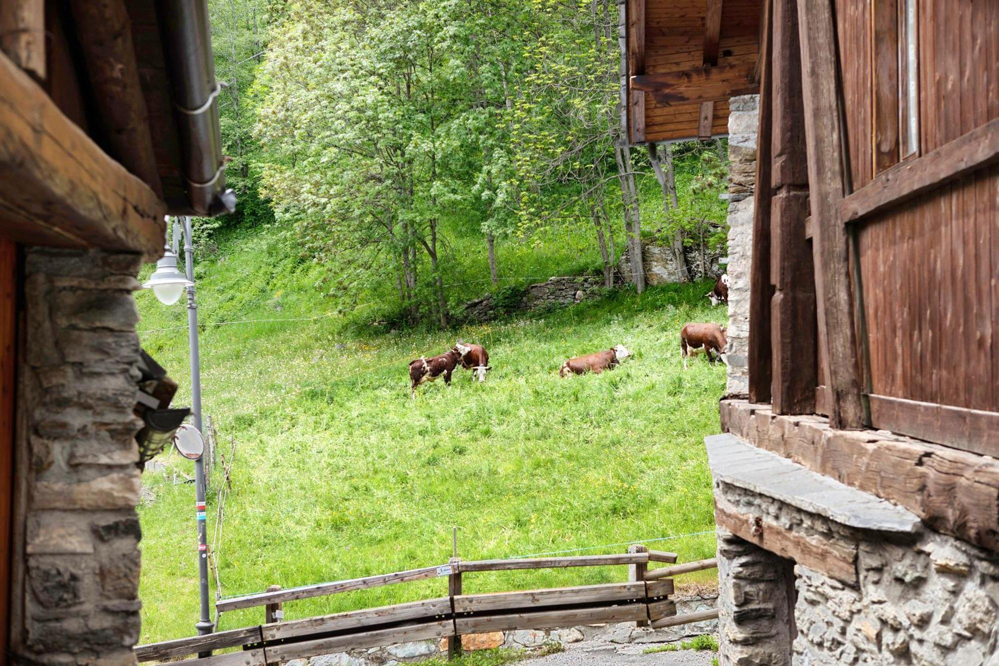 Апартаменти Aux Pieds Du Malatra' 1 Сен-Ремі-ан-Босс Екстер'єр фото