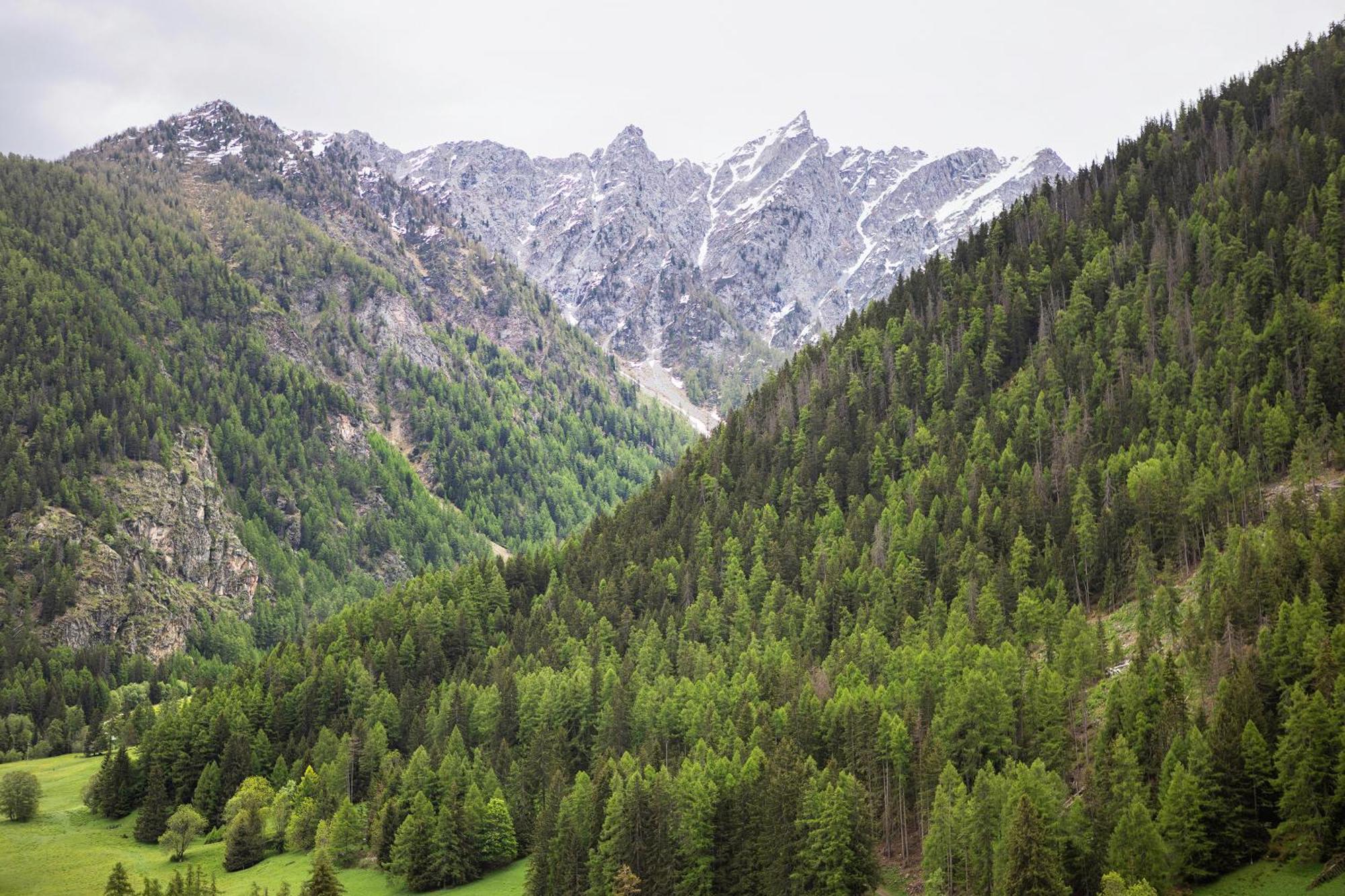 Апартаменти Aux Pieds Du Malatra' 1 Сен-Ремі-ан-Босс Екстер'єр фото
